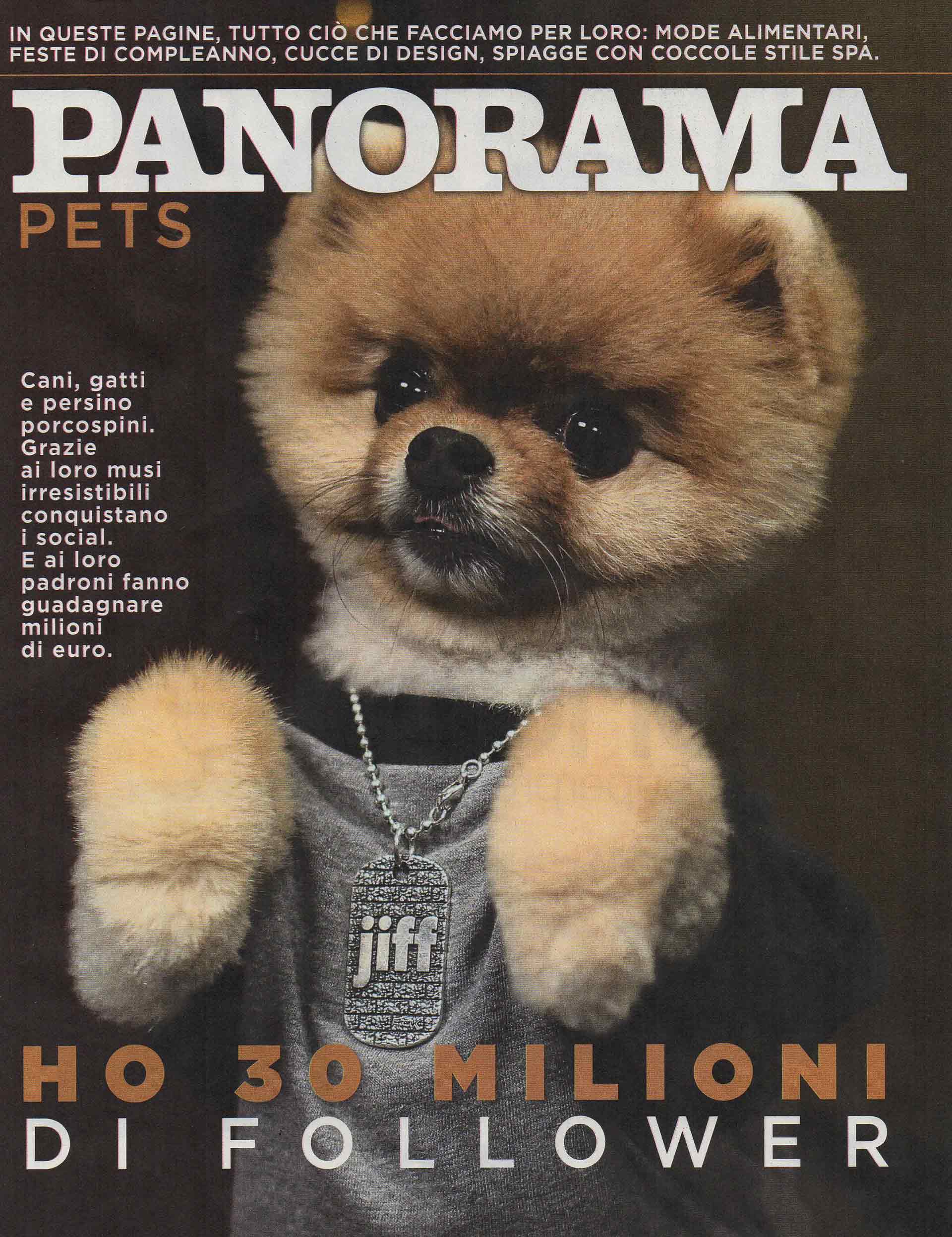 panorama-rivista-bauclub-asilo-educazione-cani-milano-01