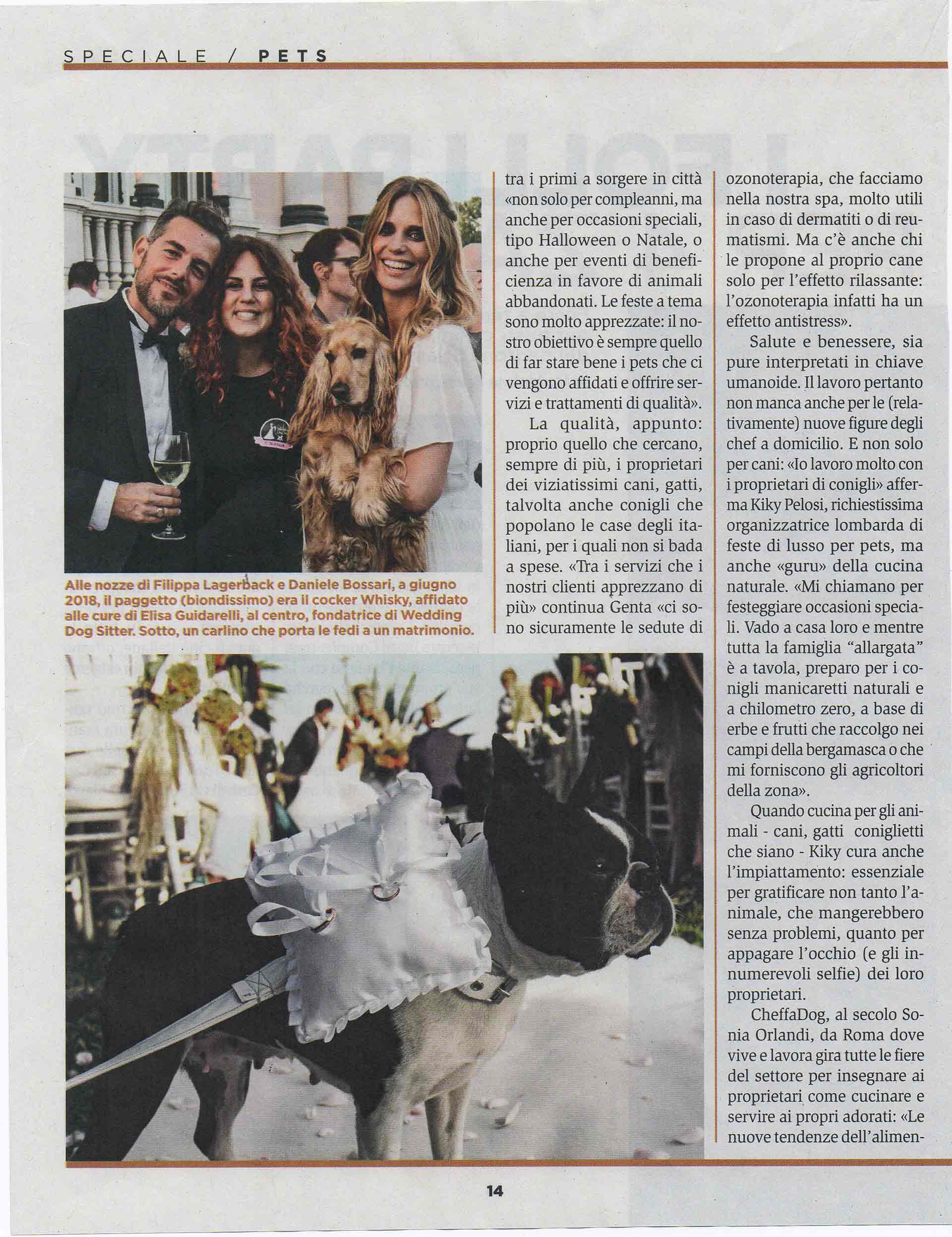 panorama-rivista-bauclub-asilo-educazione-cani-milano-03