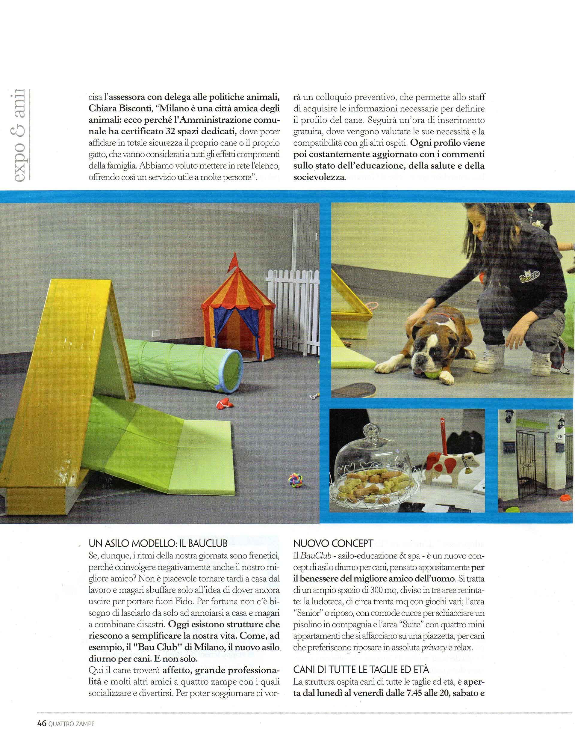 quattro-zampe-bauclub-asilo-educazione-cani-milano-04